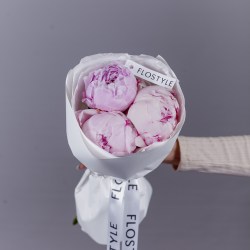 tri piona rozovyj pion  kupit' 6